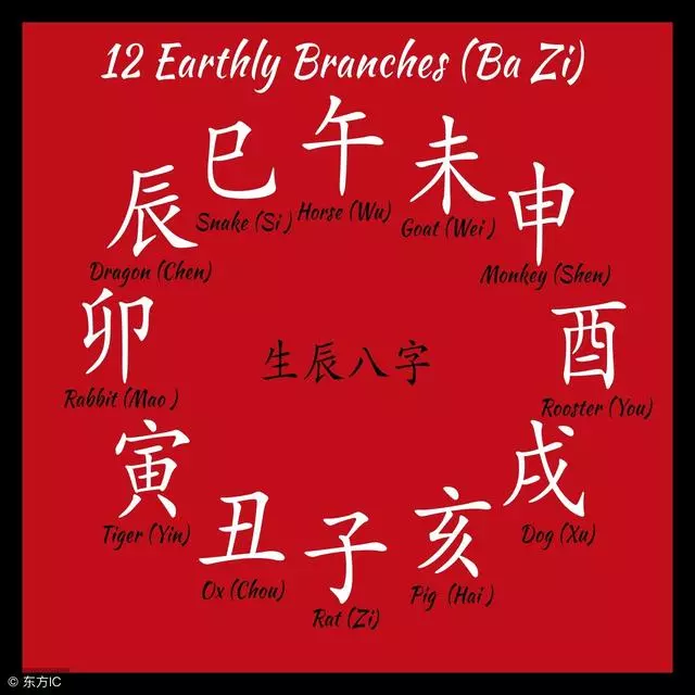 婆婆平時偏向女兒處處為難兒媳,一場大病,婆婆卻傻了眼