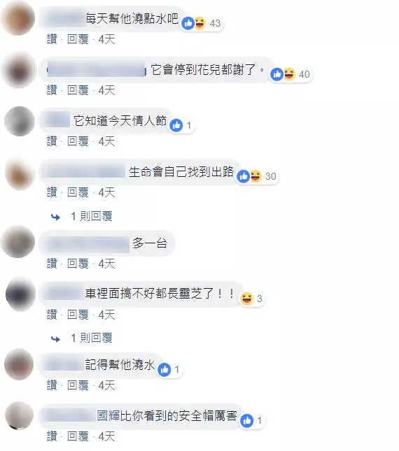 車主長期霸占車位,停到「花兒都開了」...網驚呆:「車車造型的花盆?!」