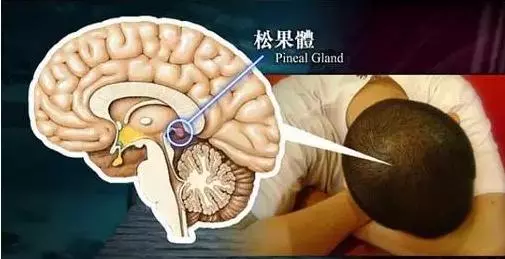 育兒健康:開燈睡對寶寶危害竟這麼大!近視、性早熟、長不高…… - 每日頭條