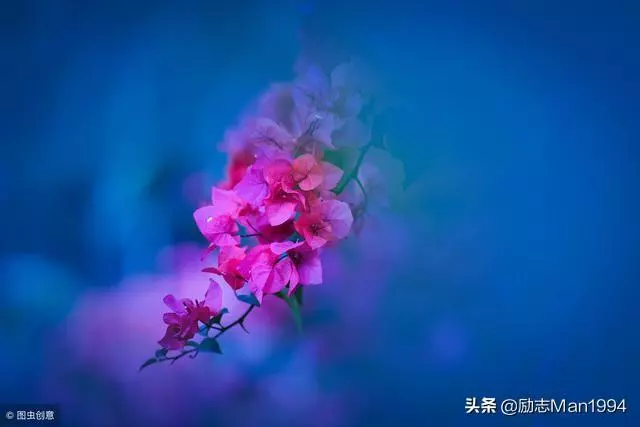越優秀的人,對自己越狠!