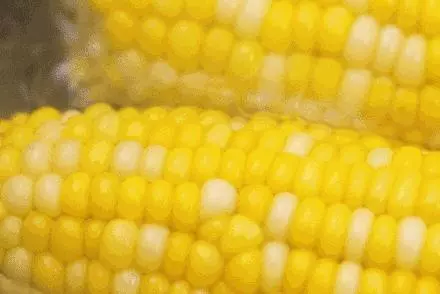 想讓自己的身體更年輕?這種便宜的食物不可錯過!