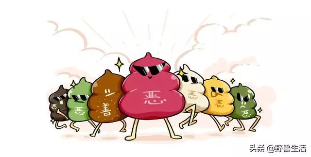 大便是健康的晴雨表!專家提醒:大便出現這些顏色,你要警惕了