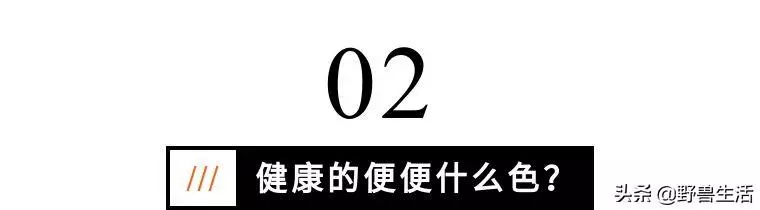 大便是健康的晴雨表!專家提醒:大便出現這些顏色,你要警惕了