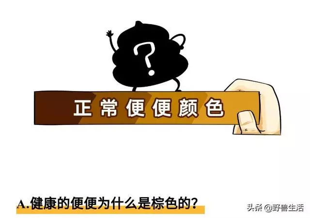 大便是健康的晴雨表!專家提醒:大便出現這些顏色,你要警惕了