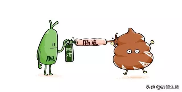 大便是健康的晴雨表!專家提醒:大便出現這些顏色,你要警惕了