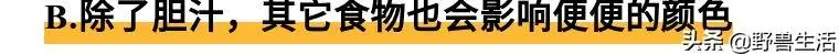 大便是健康的晴雨表!專家提醒:大便出現這些顏色,你要警惕了