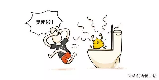 大便是健康的晴雨表!專家提醒:大便出現這些顏色,你要警惕了