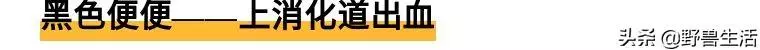 大便是健康的晴雨表!專家提醒:大便出現這些顏色,你要警惕了