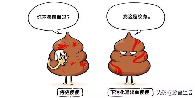 大便是健康的晴雨表!專家提醒:大便出現這些顏色,你要警惕了