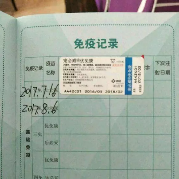 一個過來人的經驗分享:如何飼養貴賓犬?