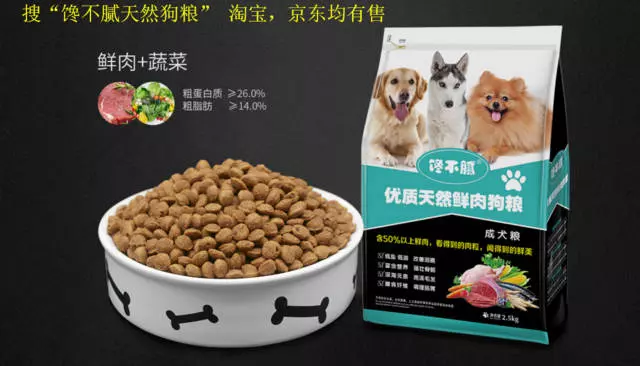 一個過來人的經驗分享:如何飼養貴賓犬?