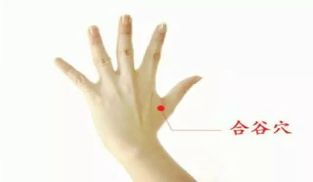手上有個「美容穴」,每天堅持1分鐘,皮膚嫩白無雀斑