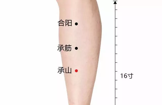 坐骨痛、腰痛,有濕氣,每天花5分鐘,拉通膀胱經,通通都好了