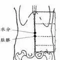 這些「急救穴」關鍵時能救命!每個人都要知道!