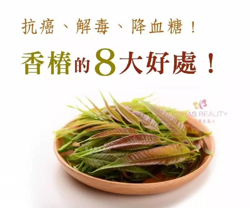 比地瓜葉好十倍,降血糖、降血壓、止瀉、止血 不吃虧大了
