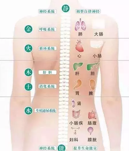 一整年不生病的密碼全藏在背部,開春養養背,全年不遭罪!!!