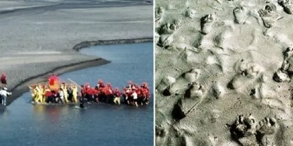大顯神蹟!白沙屯媽祖神轎狂搖「直接衝入濁水溪」 信眾驚見「腳印全部浮起」原來背後有玄機
