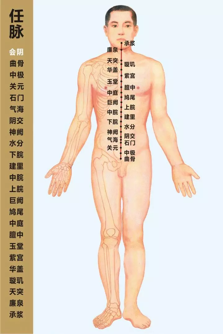最全經絡高清動圖,再也不怕找不到穴位了,能治病、能按摩!