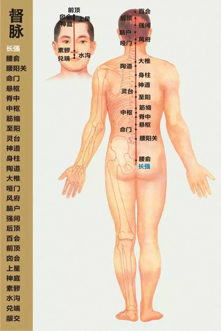 最全經絡高清動圖,再也不怕找不到穴位了,能治病、能按摩!