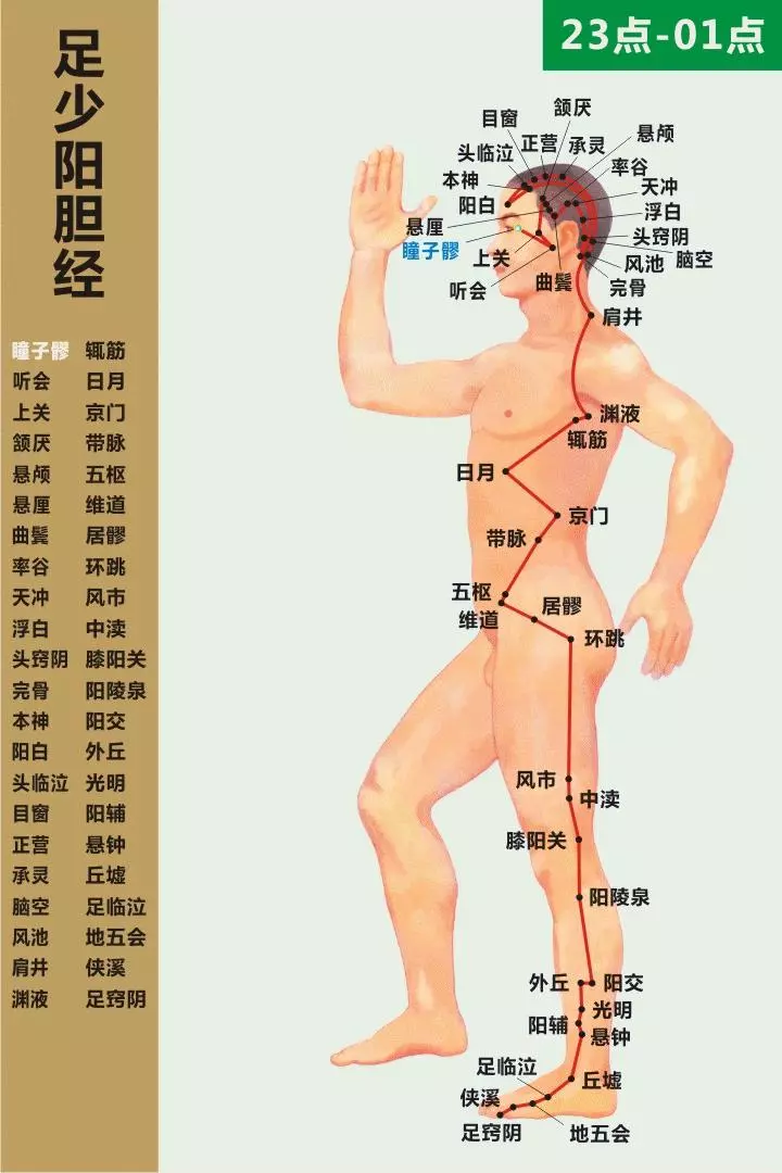 最全經絡高清動圖,再也不怕找不到穴位了,能治病、能按摩!