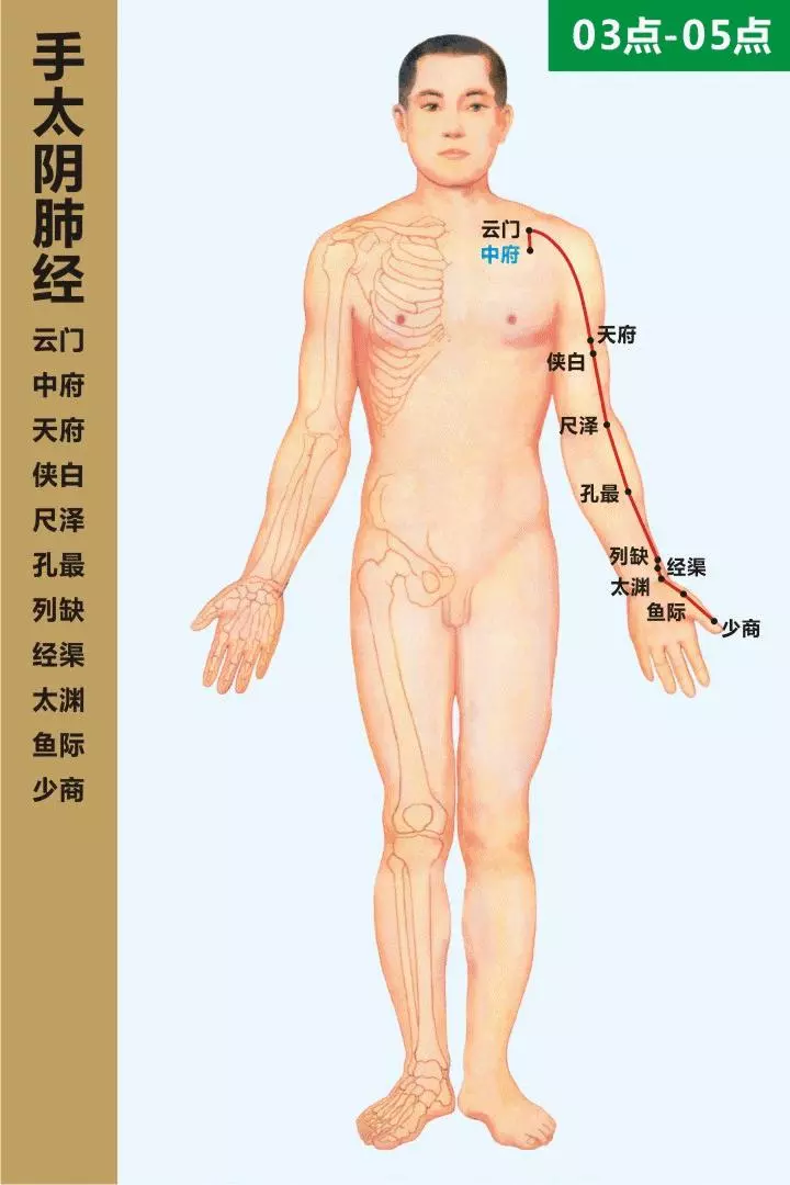 最全經絡高清動圖,再也不怕找不到穴位了,能治病、能按摩!
