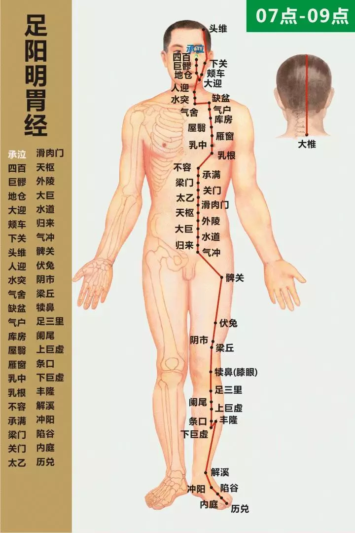 最全經絡高清動圖,再也不怕找不到穴位了,能治病、能按摩!