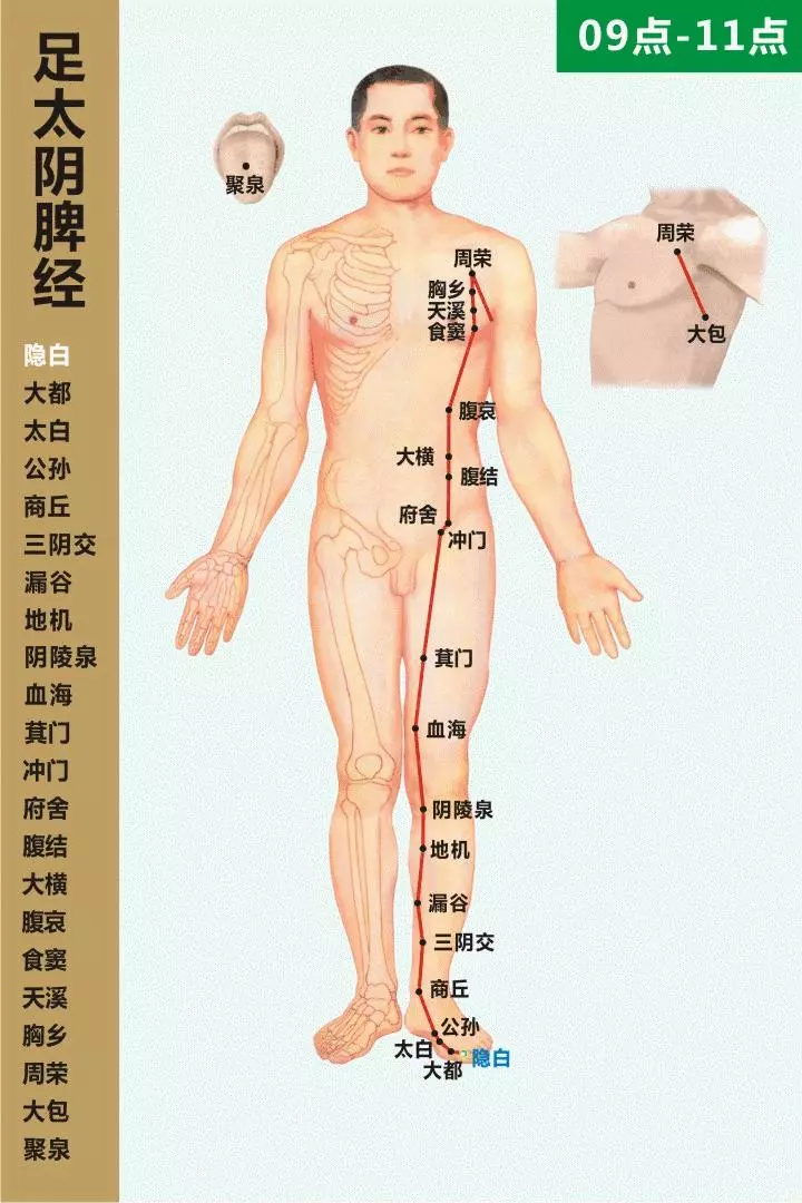 最全經絡高清動圖,再也不怕找不到穴位了,能治病、能按摩!