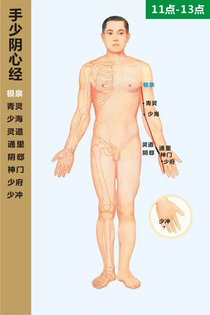 最全經絡高清動圖,再也不怕找不到穴位了,能治病、能按摩!