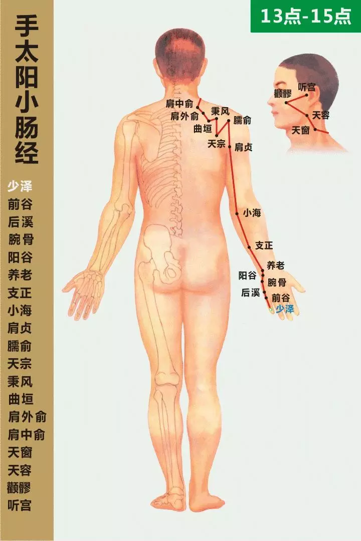 最全經絡高清動圖,再也不怕找不到穴位了,能治病、能按摩!