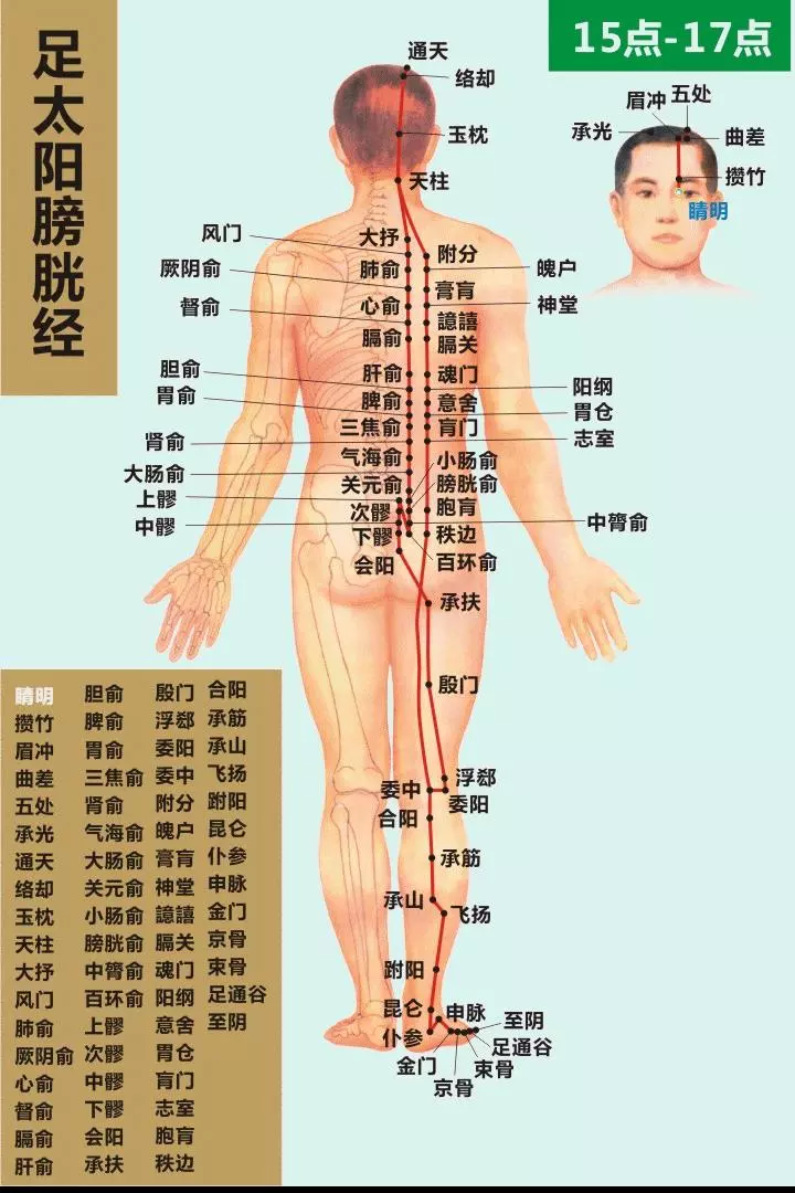 最全經絡高清動圖,再也不怕找不到穴位了,能治病、能按摩!