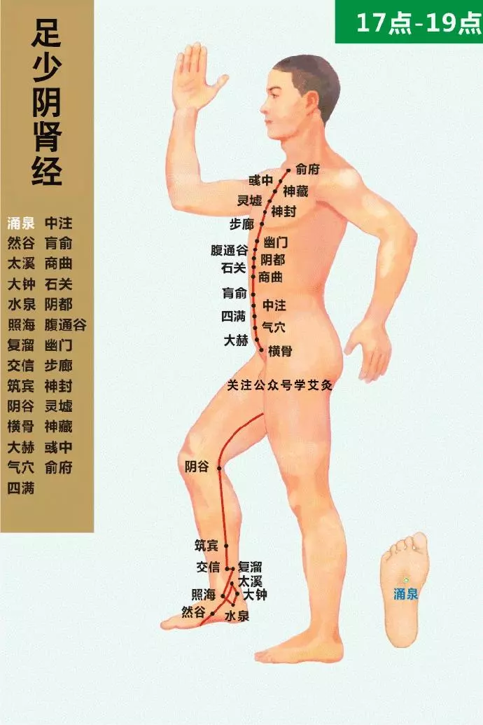 最全經絡高清動圖,再也不怕找不到穴位了,能治病、能按摩!