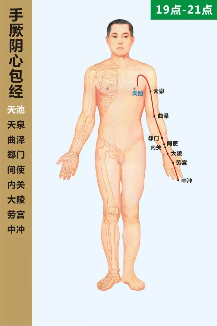 最全經絡高清動圖,再也不怕找不到穴位了,能治病、能按摩!