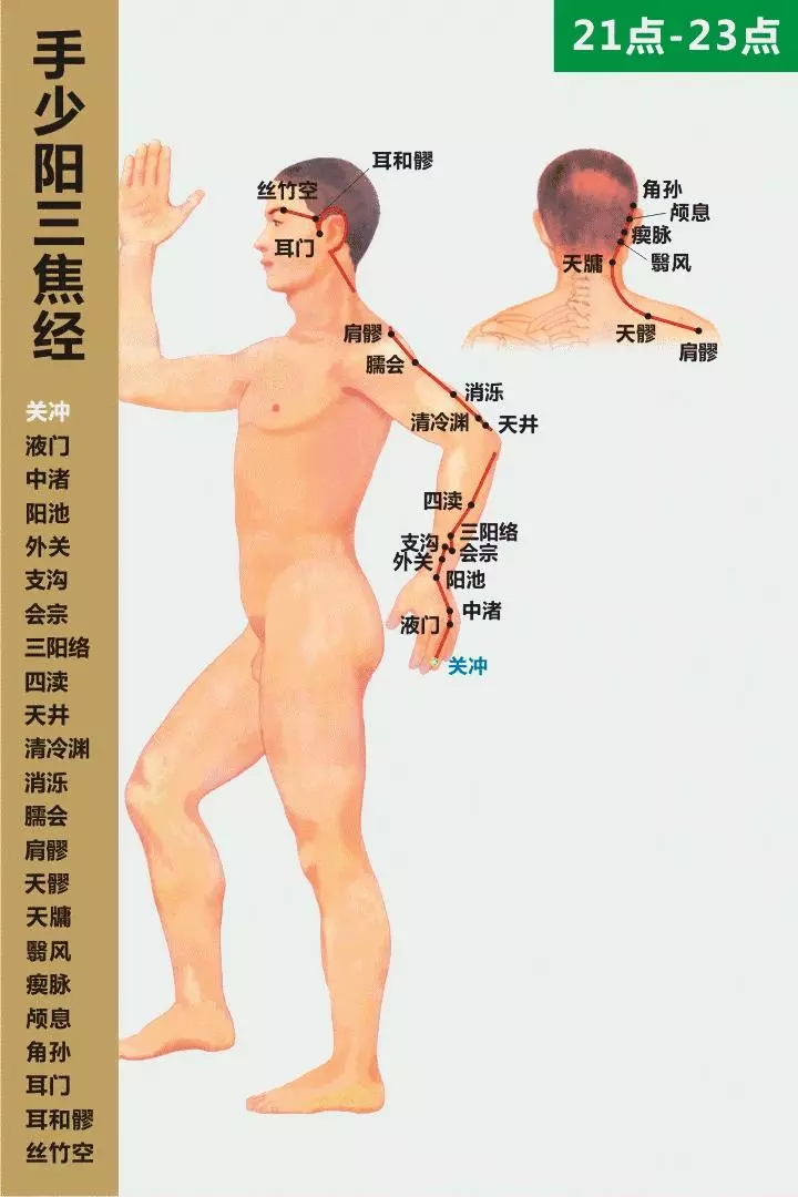 最全經絡高清動圖,再也不怕找不到穴位了,能治病、能按摩!