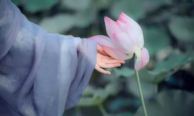 高倍顯微鏡下的世界,一組放大了的微觀世界照片