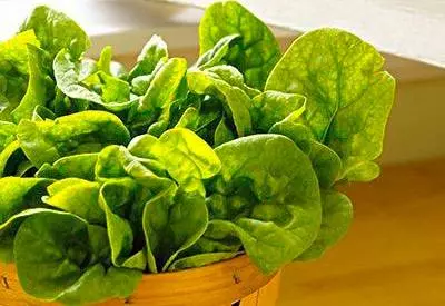50歲患癌,卻活到112歲,竟因為她常吃這三種食物!