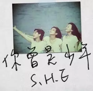 SHE:華語第一女子天團,不接受反駁