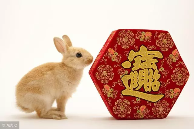 年齡越大越有錢的5大生肖,你在榜上嗎?