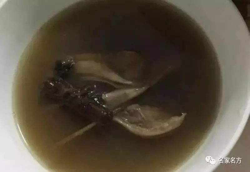 百日咳吃「它」立馬好,便秘吃它一通到底,排毒祛濕降火效果顯著,全家需要!