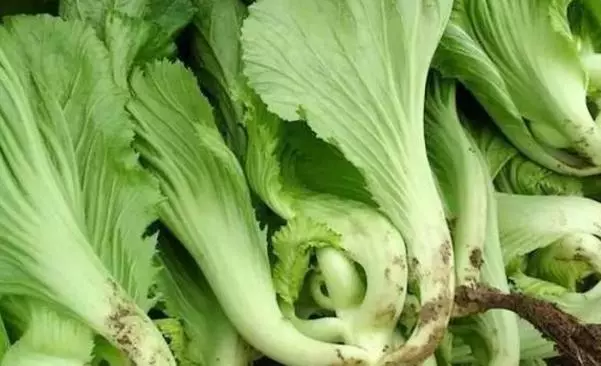 這道菜養腎護肺,經常抽筋的要吃、睡眠不足的更要吃!