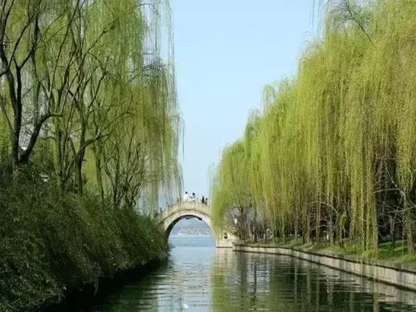 清明掃墓的7個講究和15大禁忌