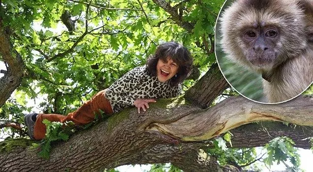 5歲女童被遺棄深山,猿猴收養了她,24年後生下兩個女兒!