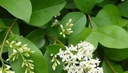 為什麼「中風」越來越多?醫生奉勸:3種食物別吃,會「加速」血管堵塞,再喜歡也要忌口