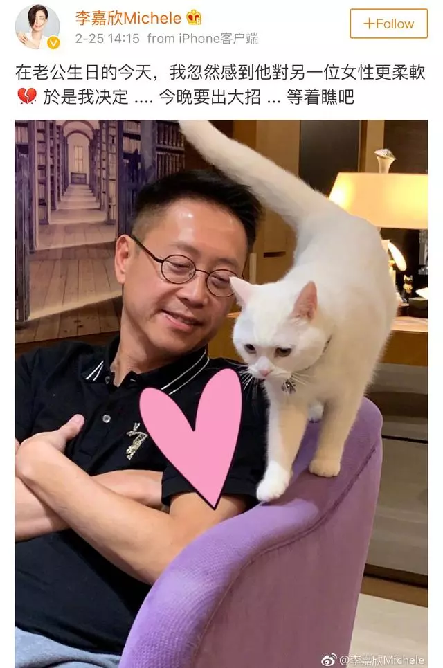 李嘉欣做蛋糕為老公慶生,放話「走著瞧」,都是為挽回老公的心!