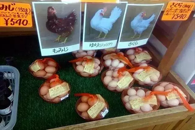 日本人憑什麼就敢生吃雞蛋?原來這就是真相!
