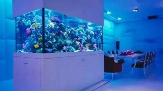 喜歡養魚的朋友, 看看居家養魚事項能讓你招好運 !