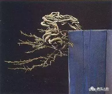 盆景的配盆方法!!!