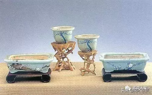 盆景的配盆方法!!!