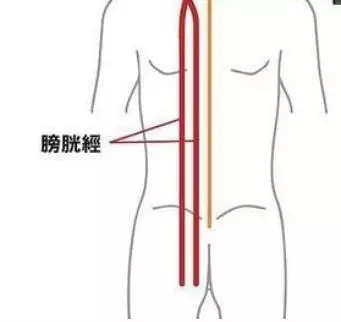 5個穴位輕鬆打開身體的「活血開關」 快來試試!