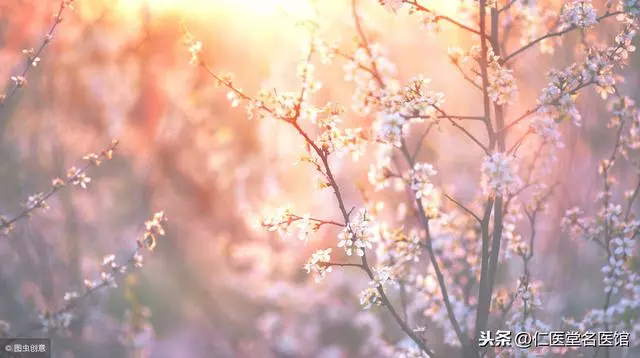 3分鐘速學八段錦,春天練:生髮陽氣、疏肝理氣、防病治病!