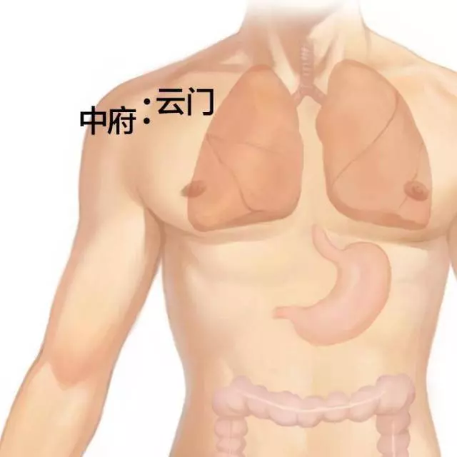 皮膚狀態很差,只能去美容院嗎?不,你應該好好養養肺!